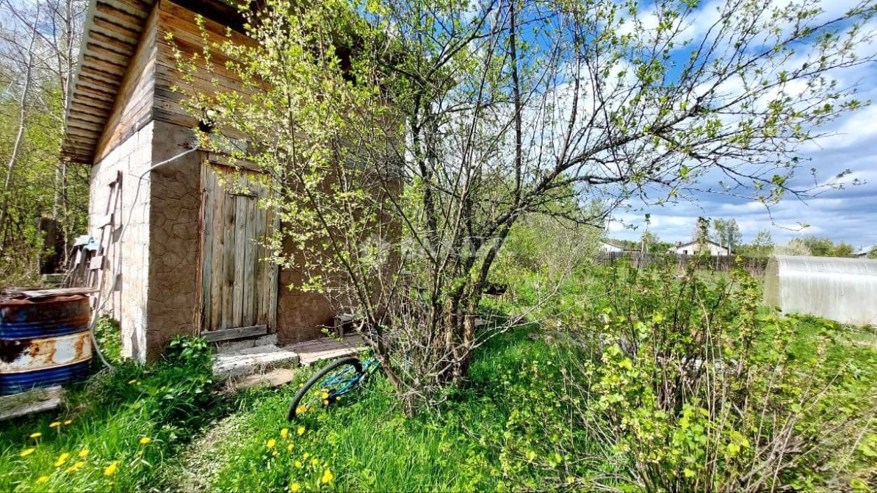 Photo 11