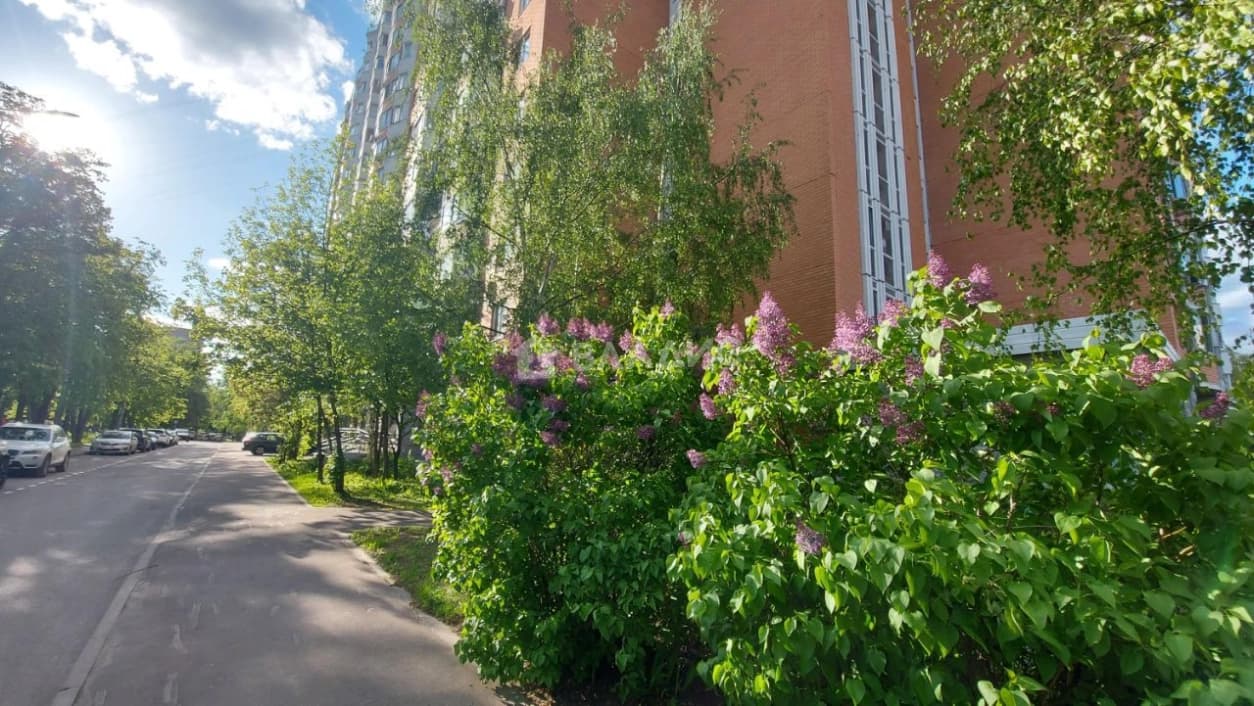 Photo 43