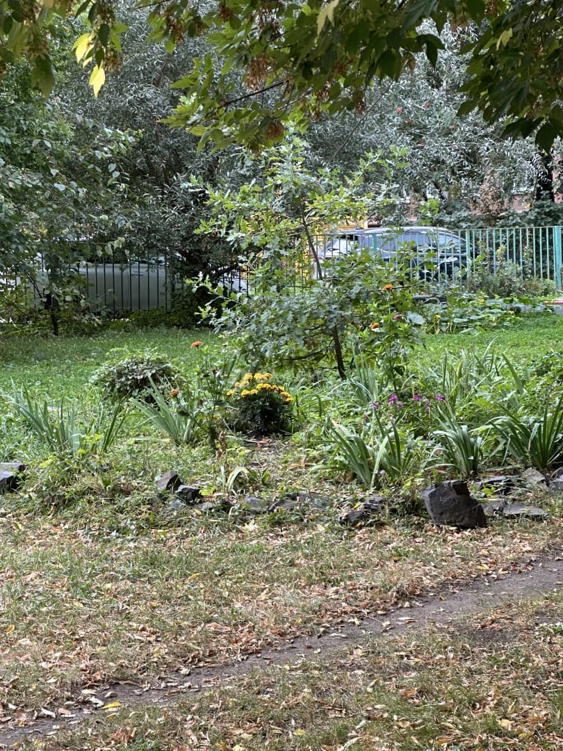 Photo 23