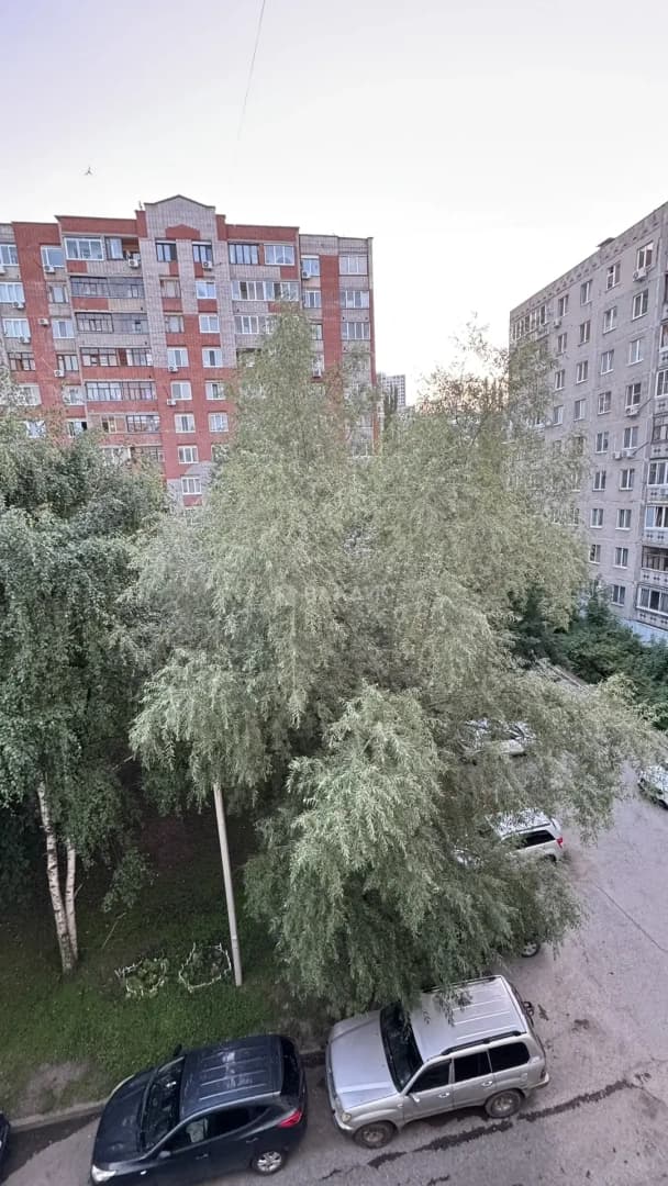 Photo 31