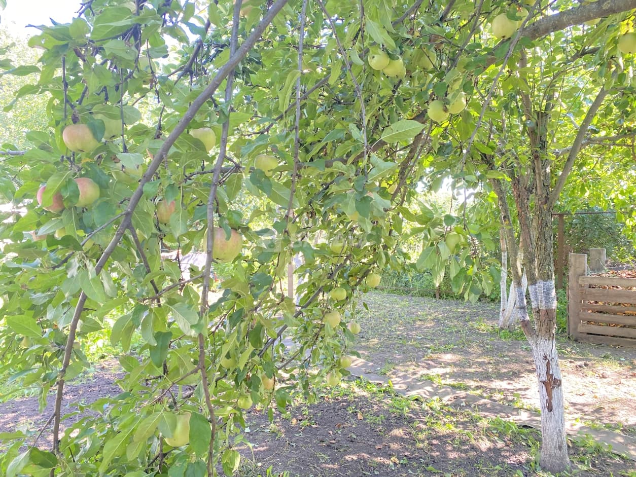 Photo 22