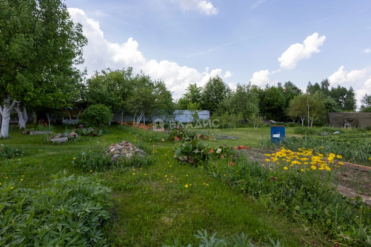 Photo 44