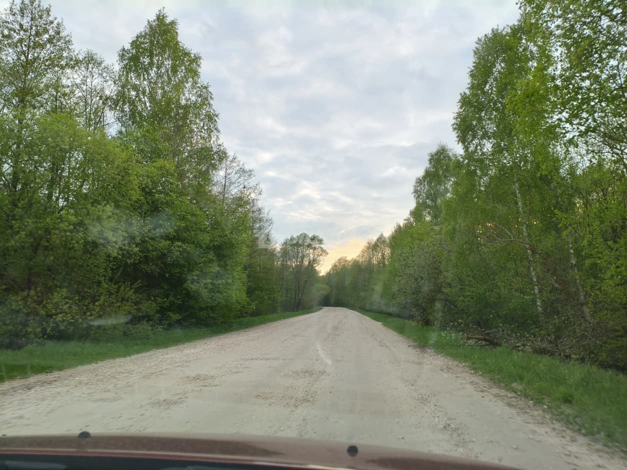 Photo 29