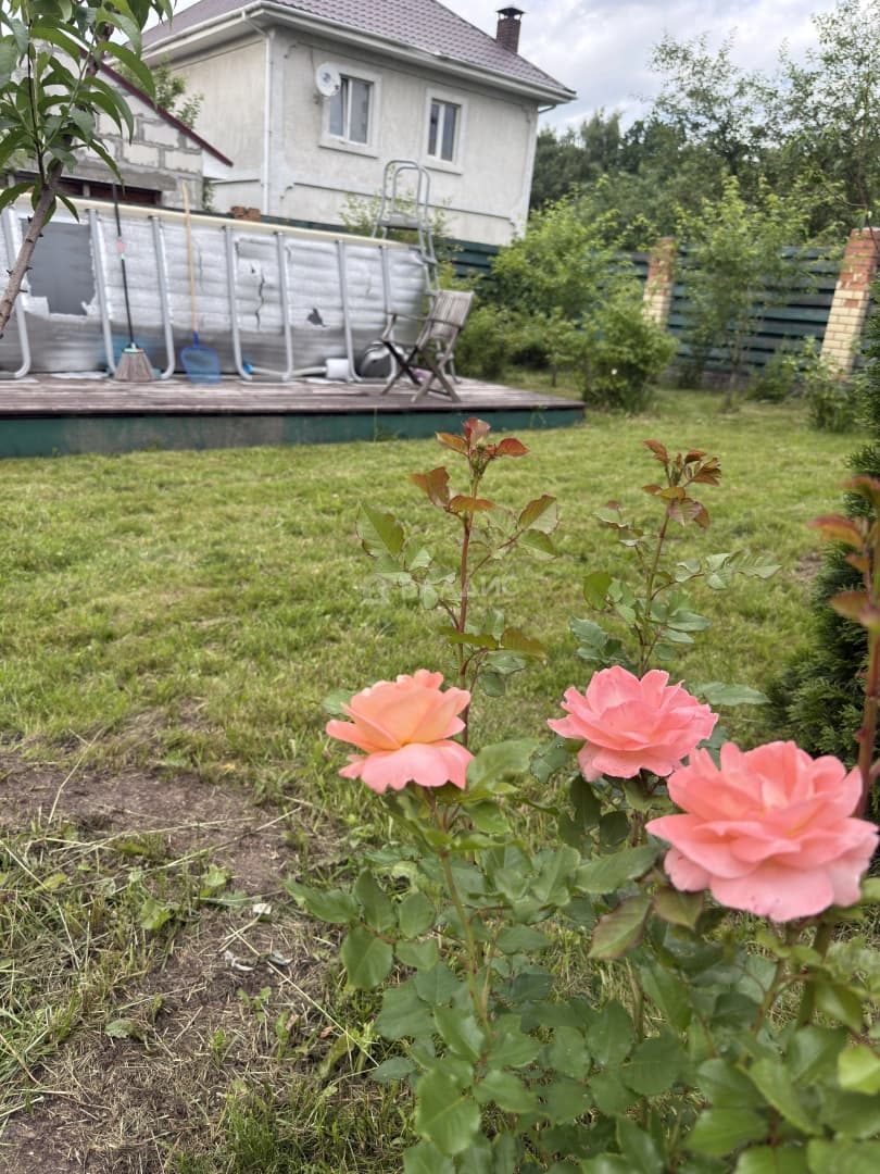 Photo 38