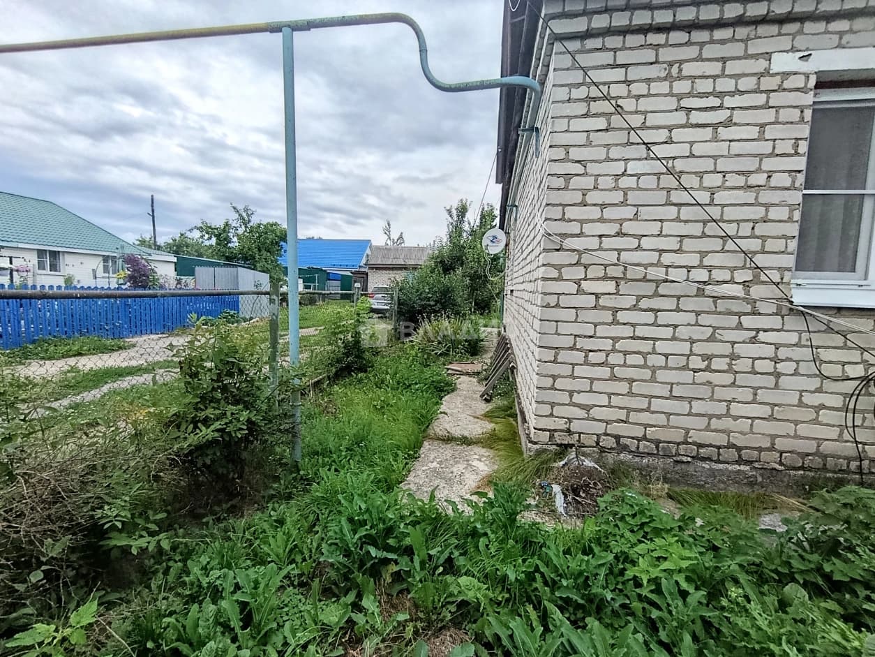 Photo 42