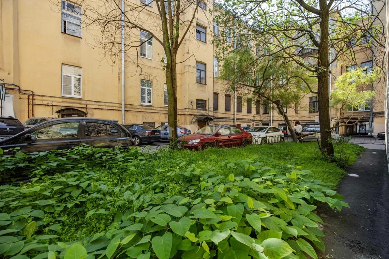 Photo 25