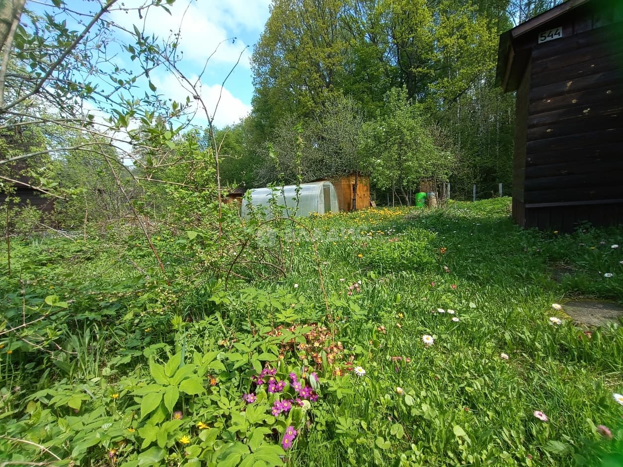 Photo 11