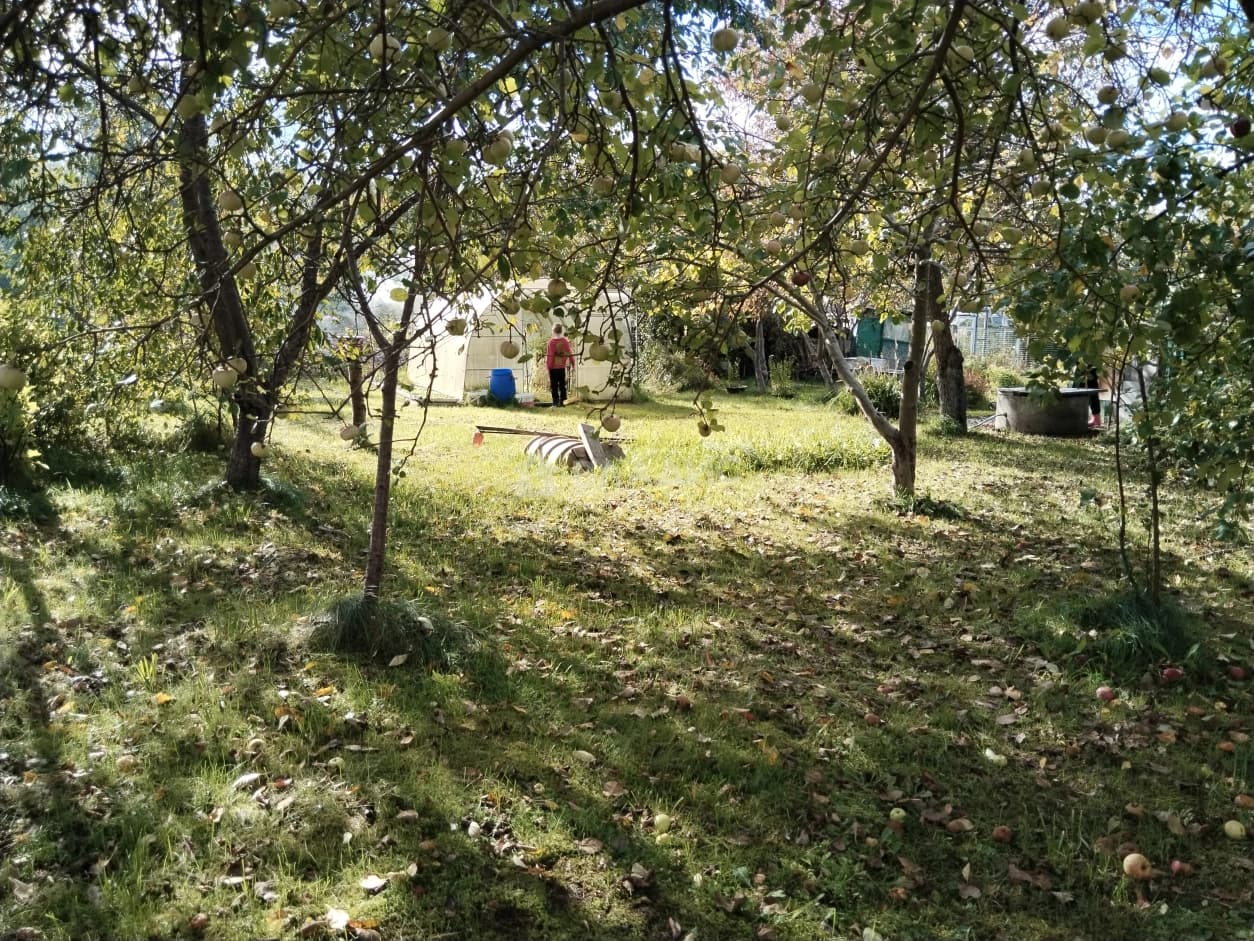 Photo 25