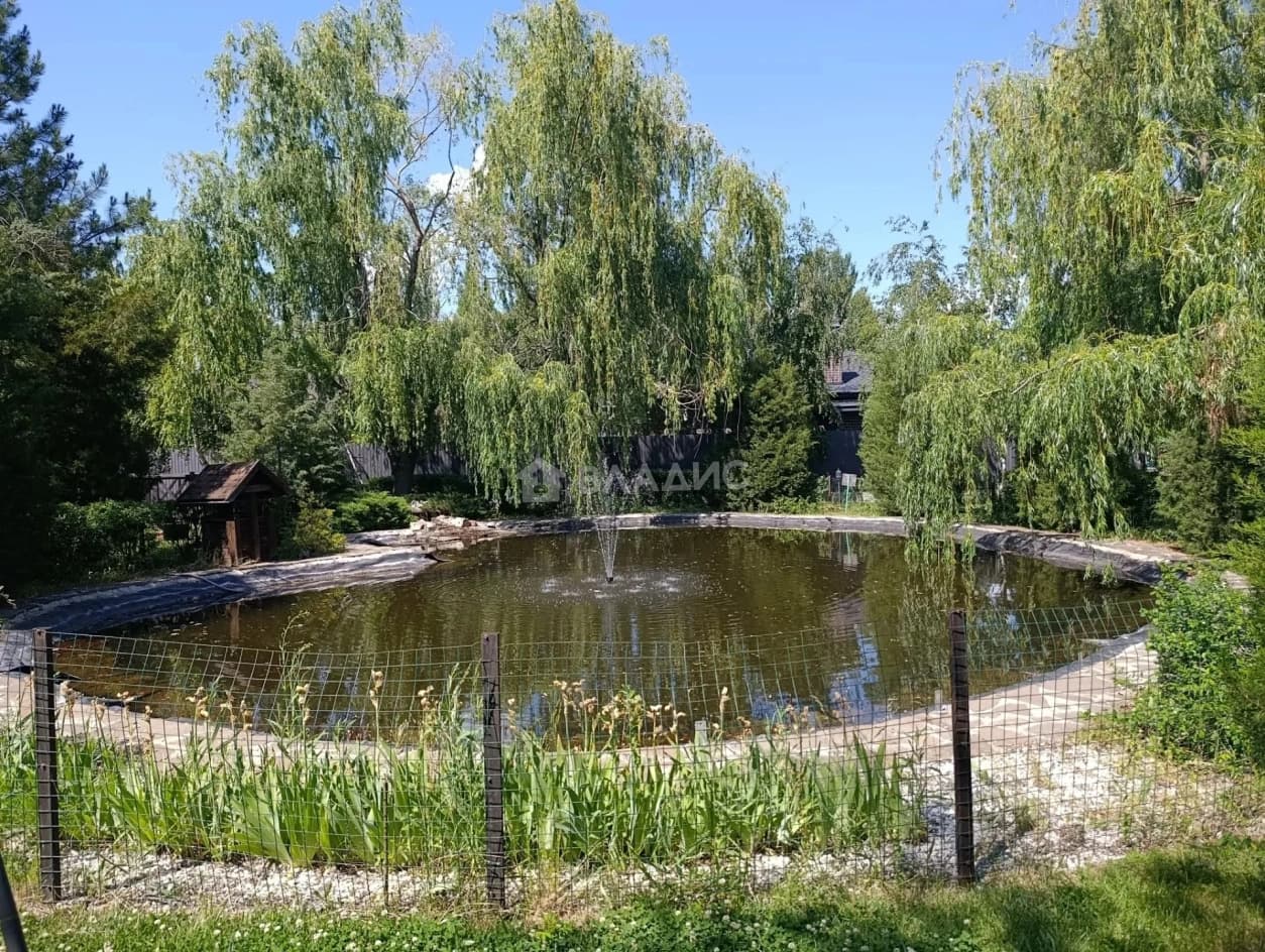 Photo 38
