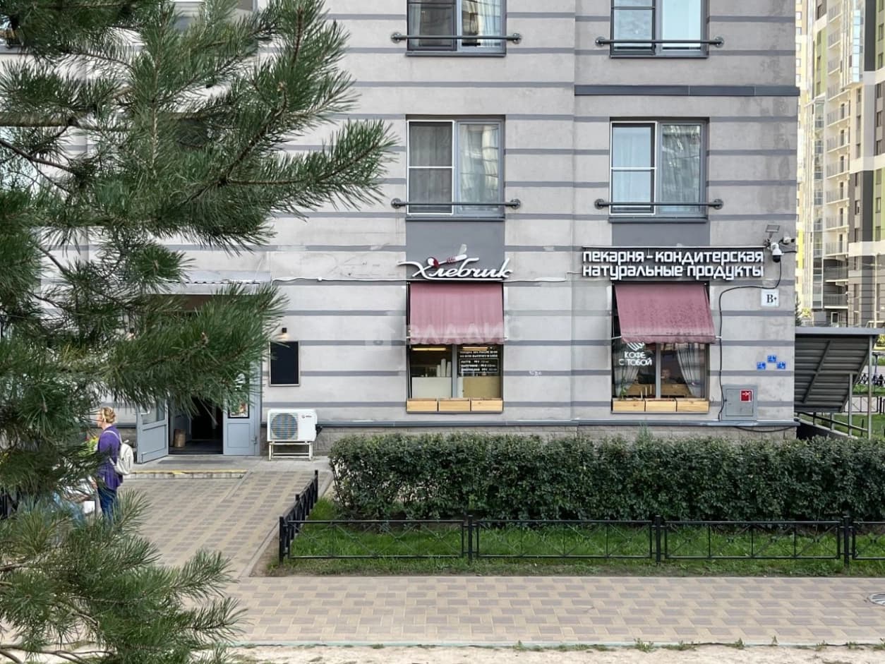 Photo 41