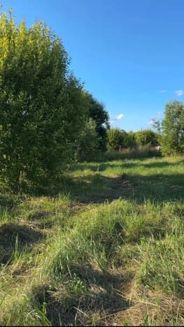 Купить земельный участок в Деревне Озерёве в Бокситогорском районе в Ленинградской области. Вариант № 2291279, 0, площадь - квм, цена 2450000 рублей
