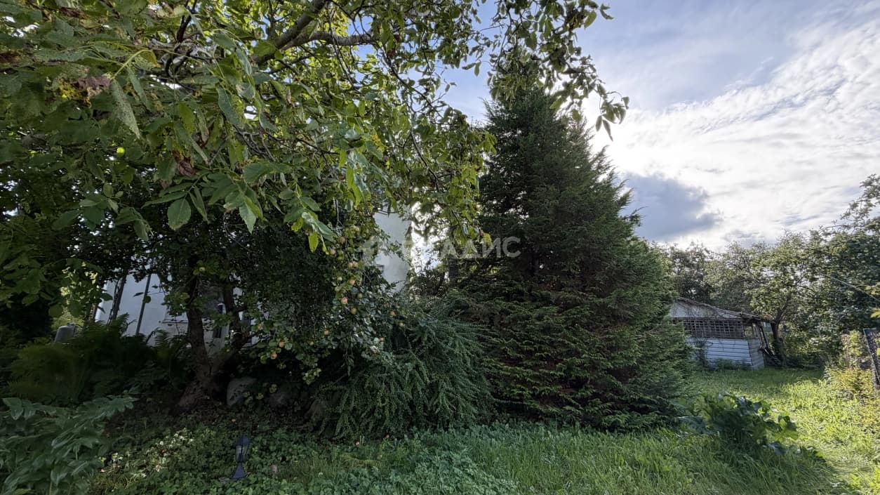 Photo 33