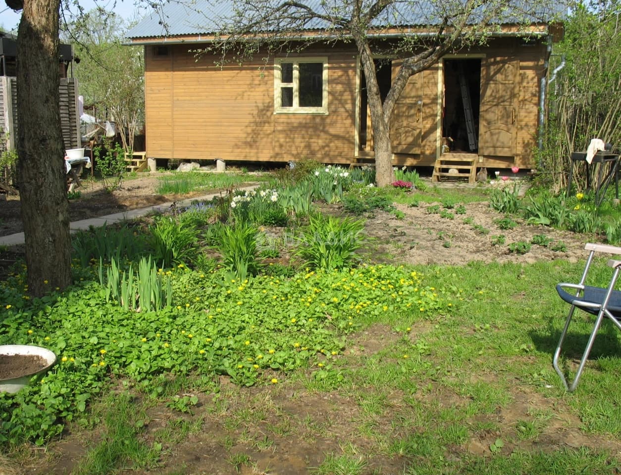 Photo 6