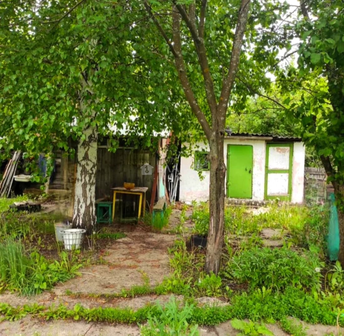 Photo 6