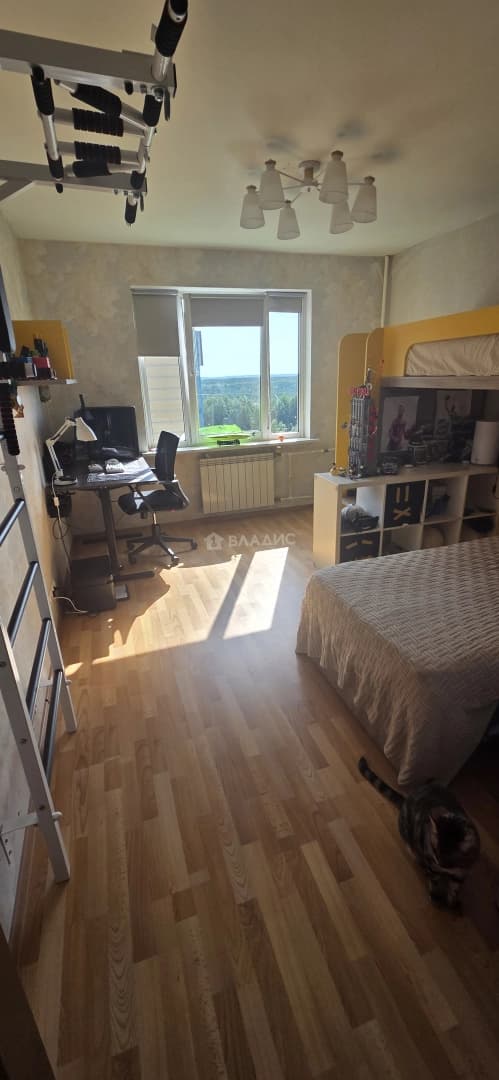 Photo 42