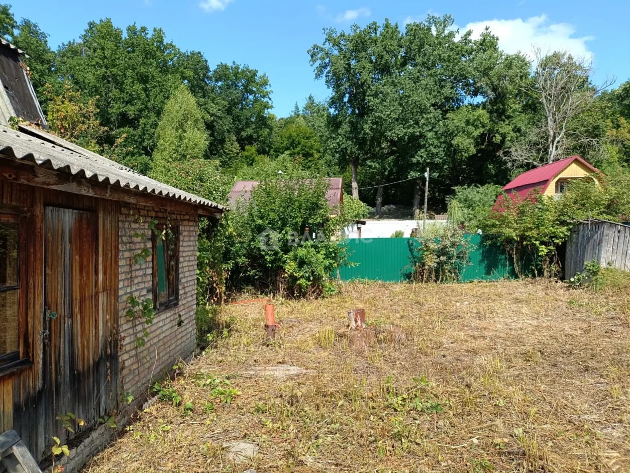 Photo 6