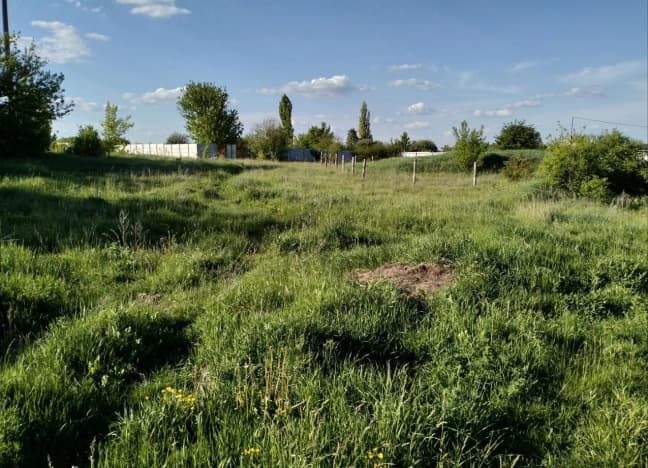 Купить земельный участок в Посёлоке Дубовом в Белгородском Муниципальном Округе в Микрорайоне Южный, посёлок Дубовое в Белгородской области. Вариант № 2223828, 1, площадь - квм, цена 7999000 рублей