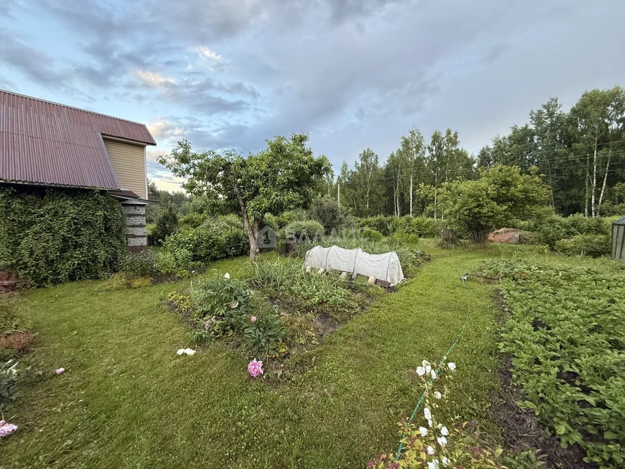 Photo 41