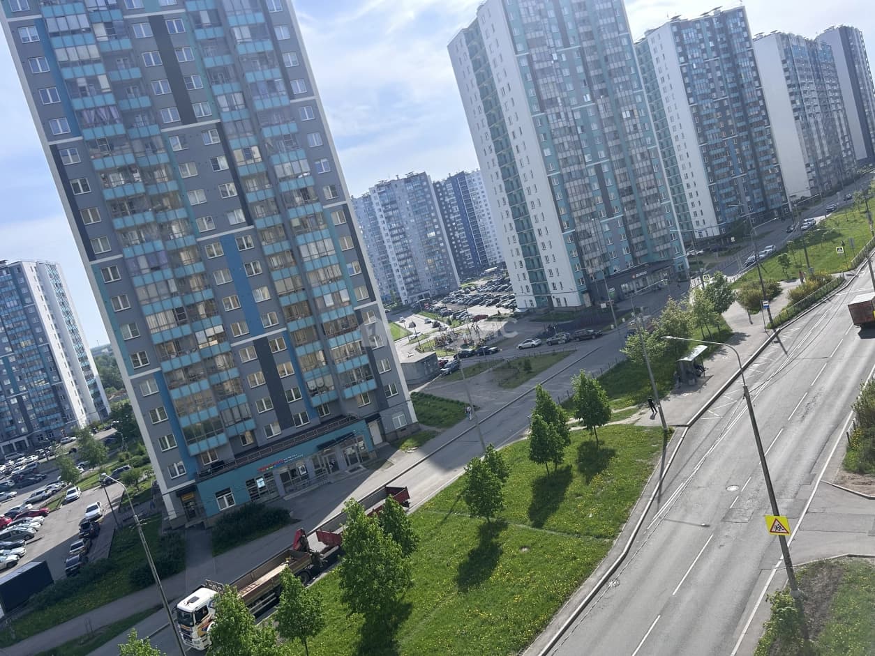 Photo 41