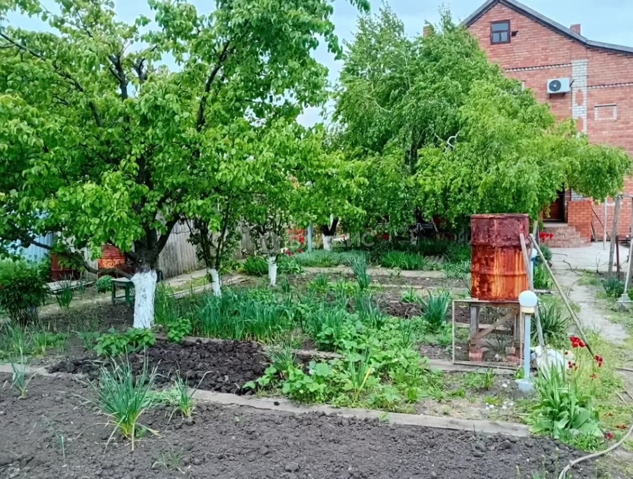 Photo 30