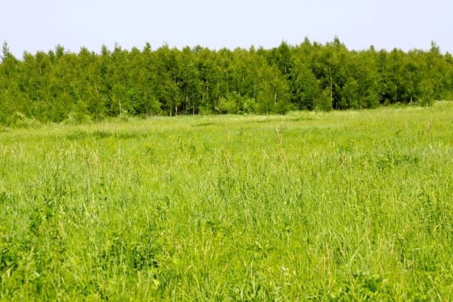 Купить земельный участок в Нижегородской области. Вариант № 2244155, 1, площадь - квм, цена 937500 рублей