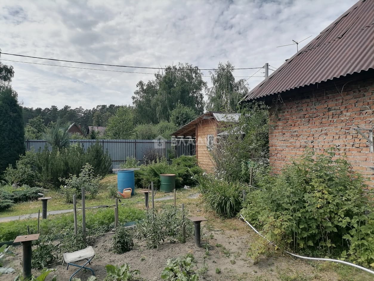 Photo 37