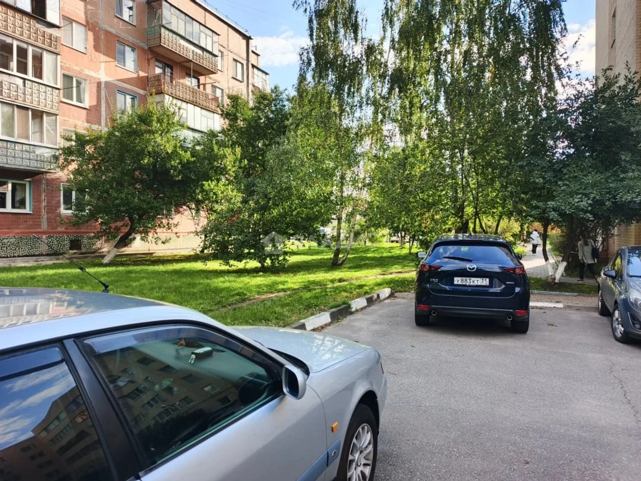 Photo 14