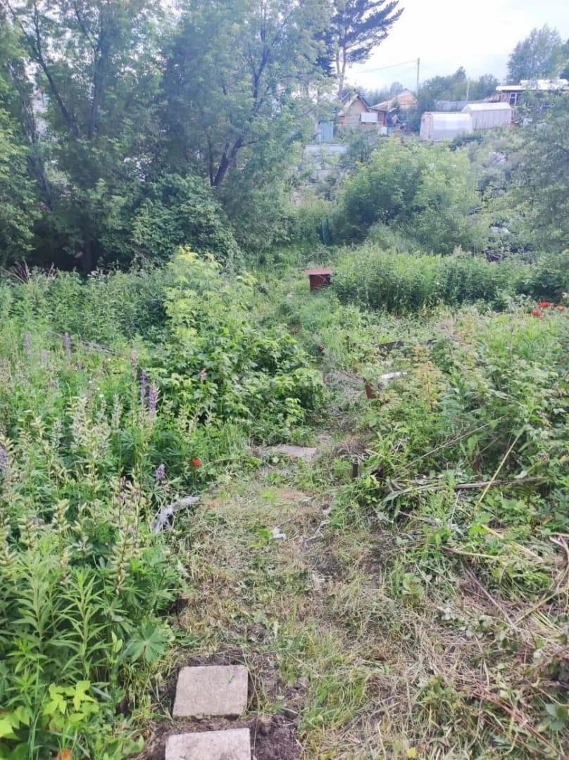 Photo 4