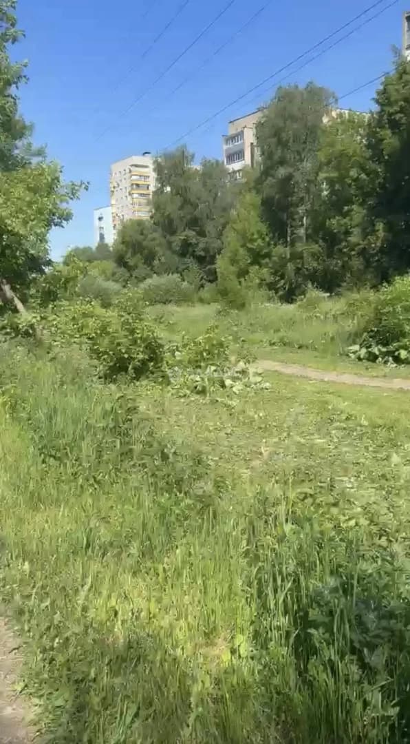 Photo 26