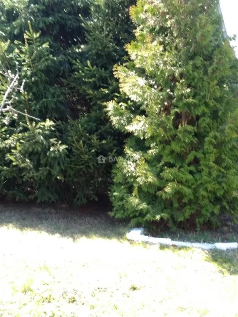 Photo 31