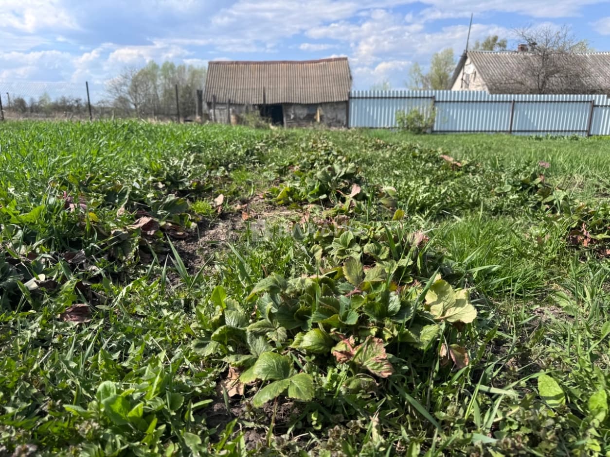 Photo 28