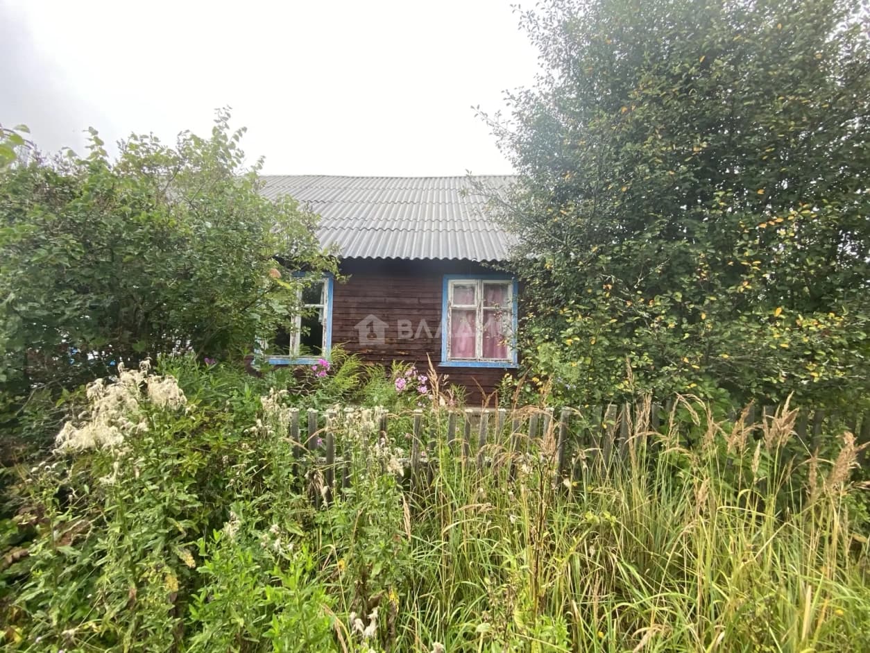 Photo 24