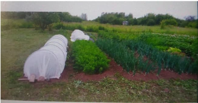 Купить земельный участок в Деревне Чижове в Собинском районе на улице Заречная , деревня Чижово в Владимирской области. Вариант № 2165871, 1, площадь - квм, цена 800000 рублей