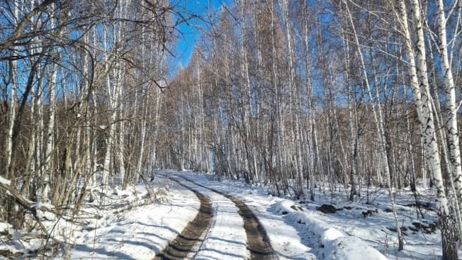 Купить земельный участок в Новосибирском районе в Новосибирской области. Вариант № 1979500, 0, площадь - квм, цена 40000000 рублей