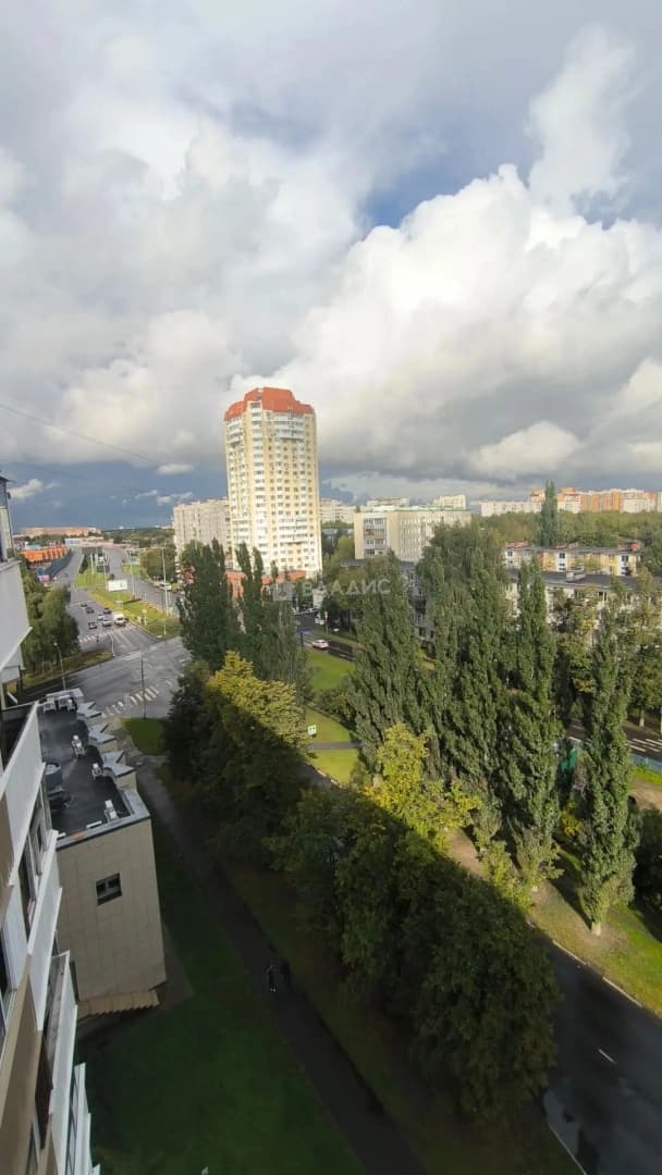 Photo 25