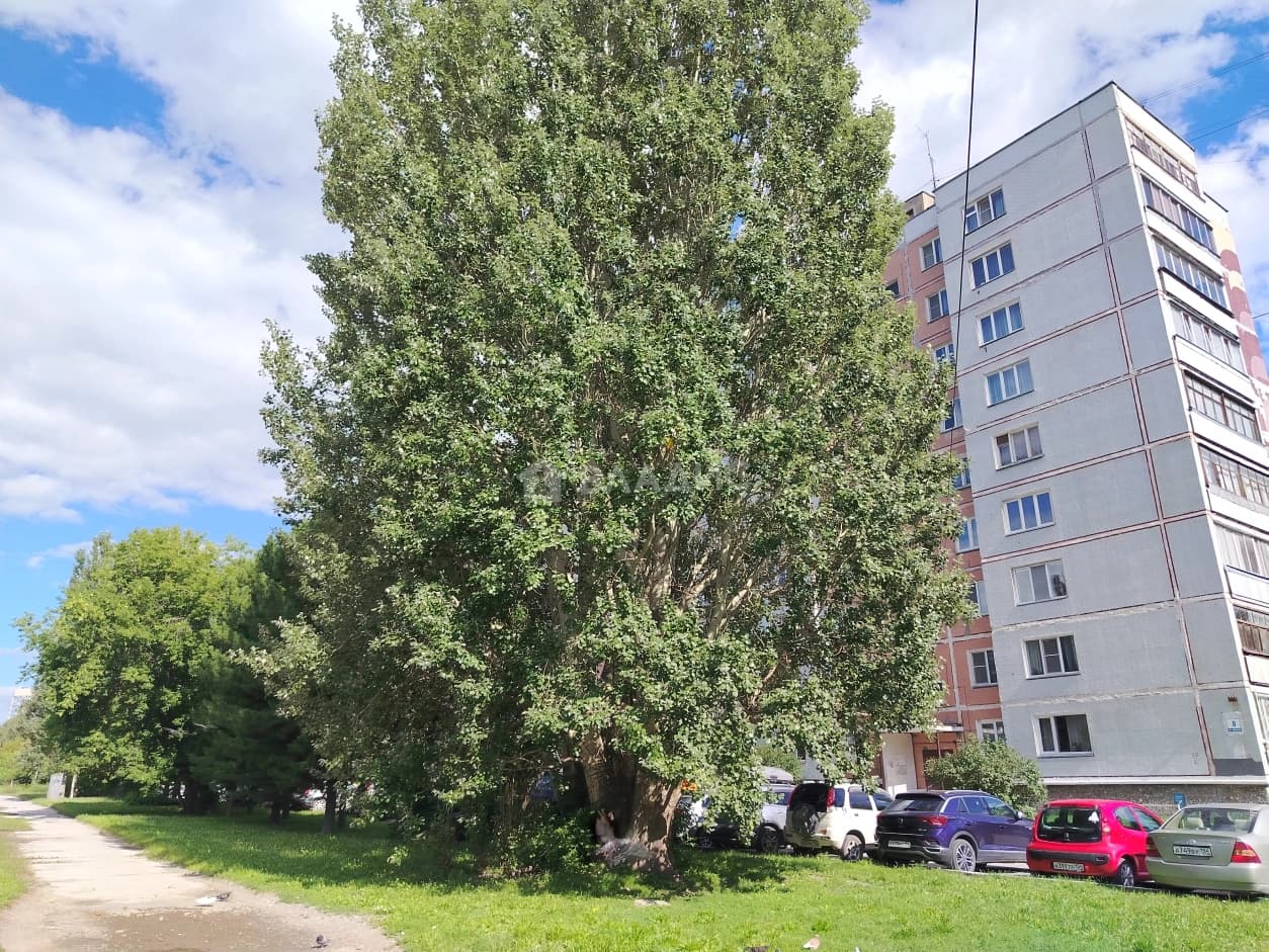 Photo 29