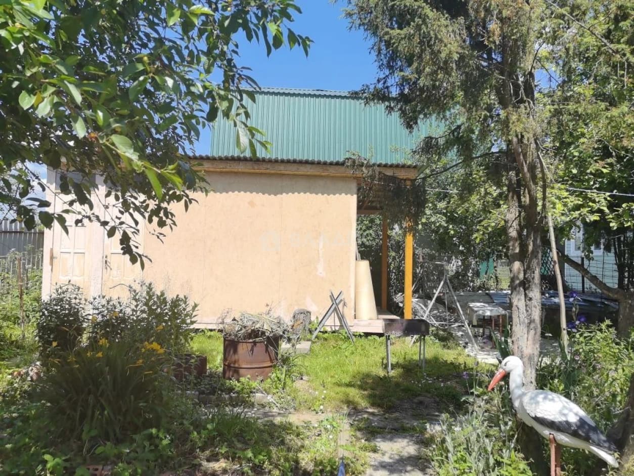 Photo 7
