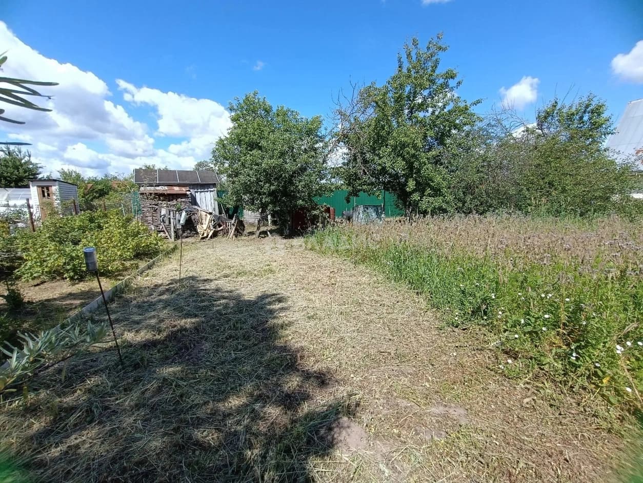 Photo 16