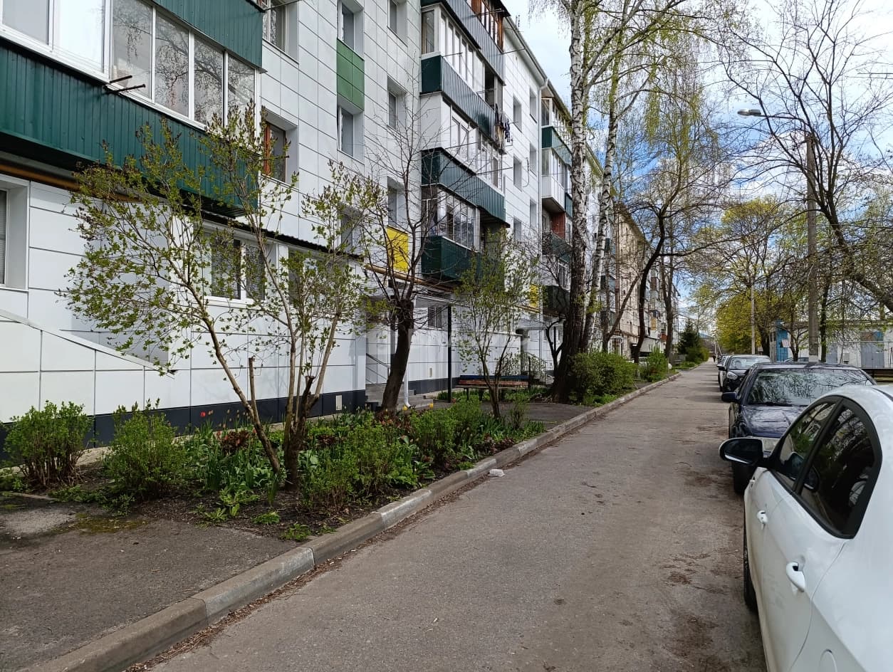 Photo 19