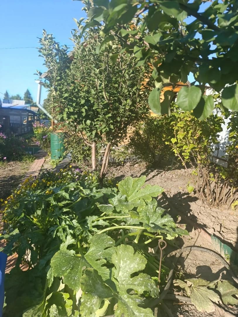 Photo 30