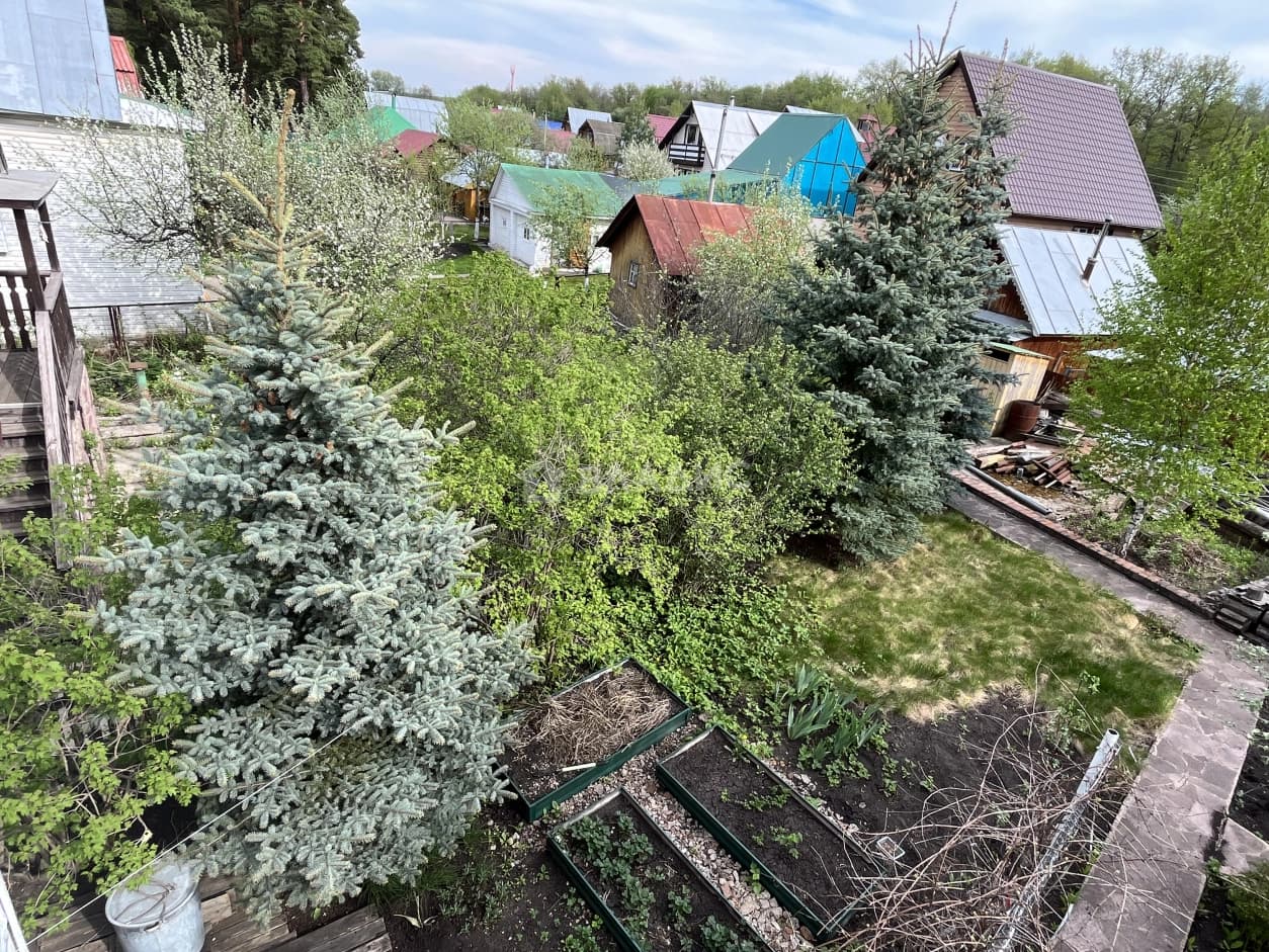 Photo 38