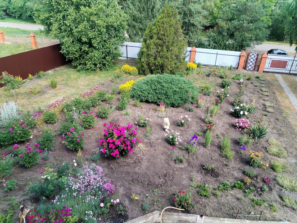 Photo 16