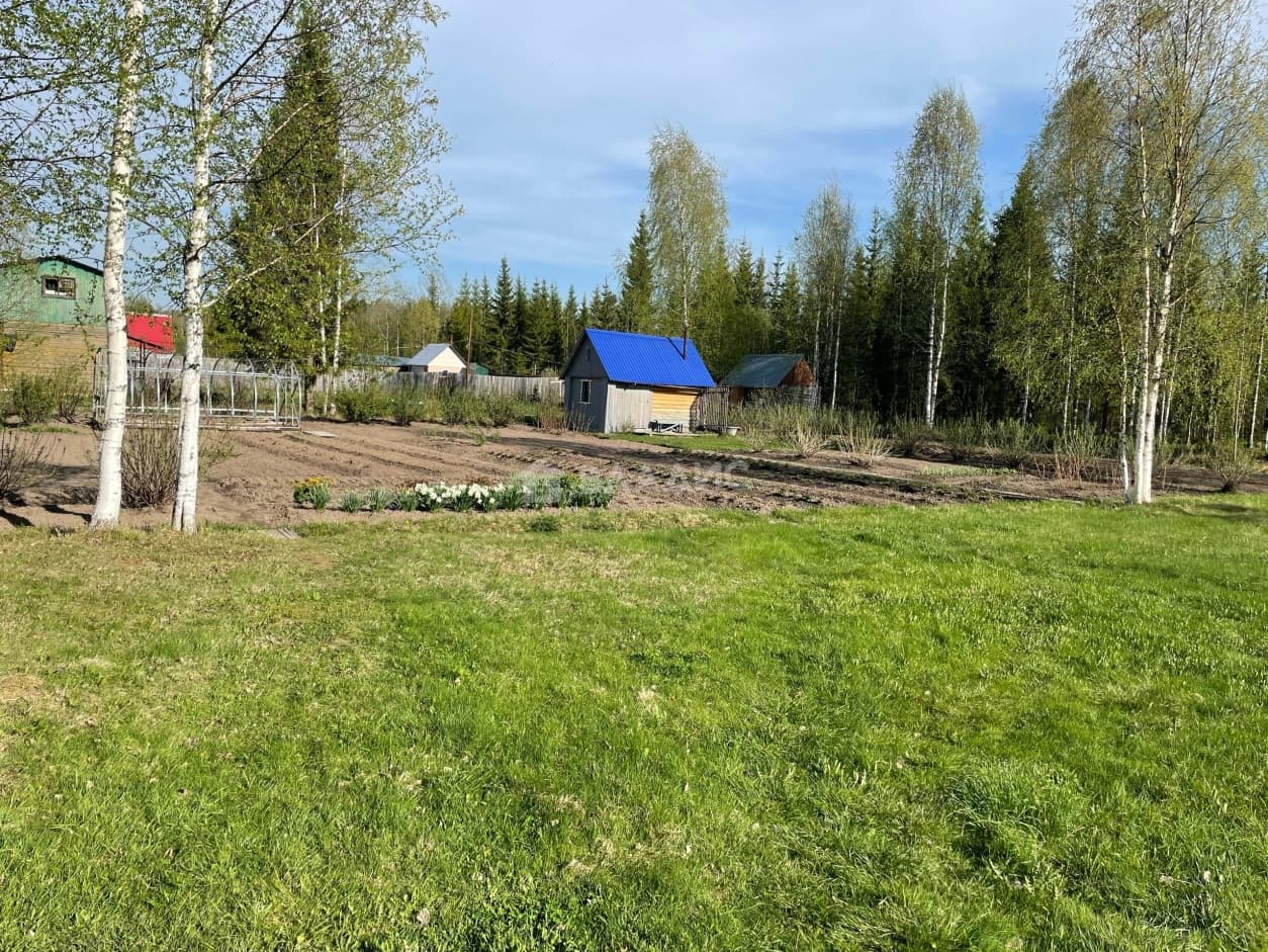 Photo 21