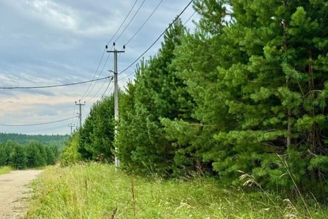 Купить земельный участок в Посёлоке Новом в Медведевском районе в Республике Марий эл. Вариант № 2162751, 1, площадь - квм, цена 1900000 рублей