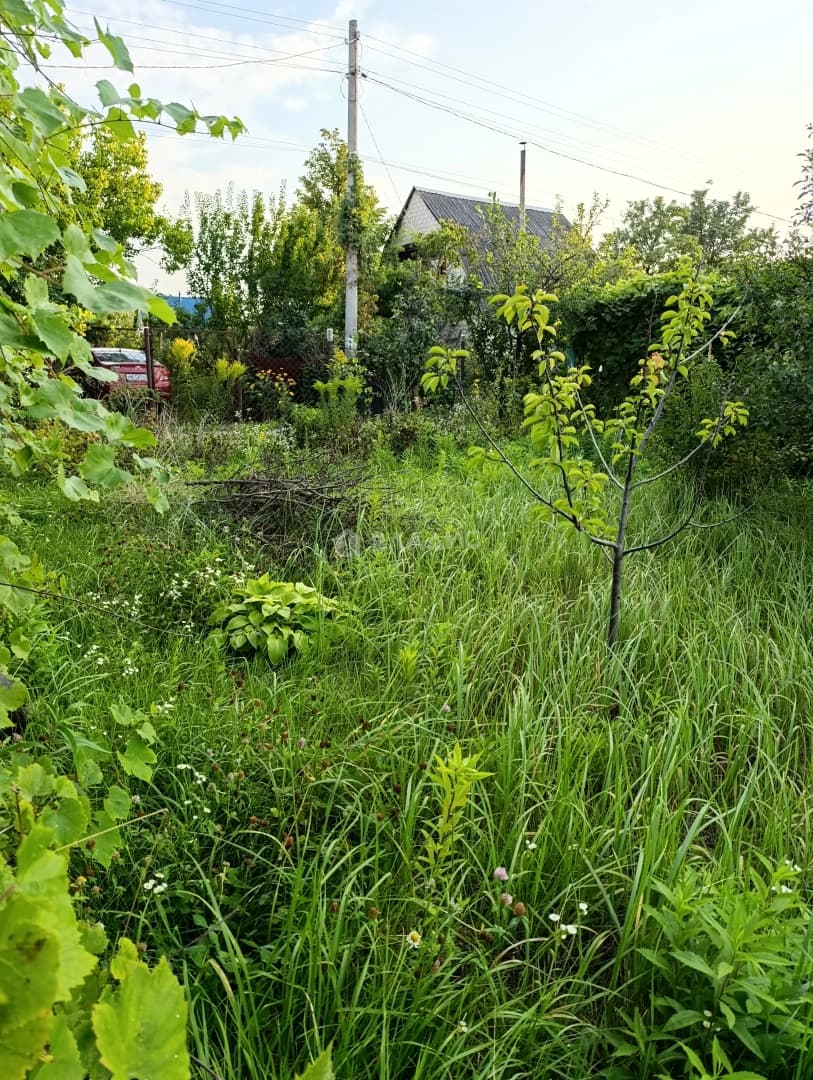 Photo 33