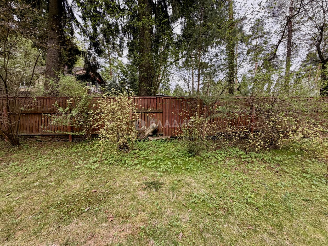 Photo 35