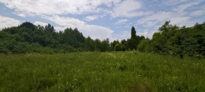 Купить земельный участок в селе Клементьево в Суздальском районе на улице Полевая , село Клементьево в Владимирской области. Вариант № 2211970, 1, площадь - квм, цена 1900000 рублей