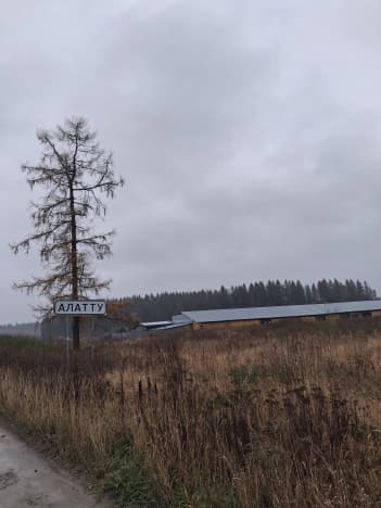 Купить земельный участок в Деревне Ряймяли в Питкярантском Муниципальном Округе в Республике Карелия. Вариант № 2414303, 1, площадь - квм, цена 990000 рублей