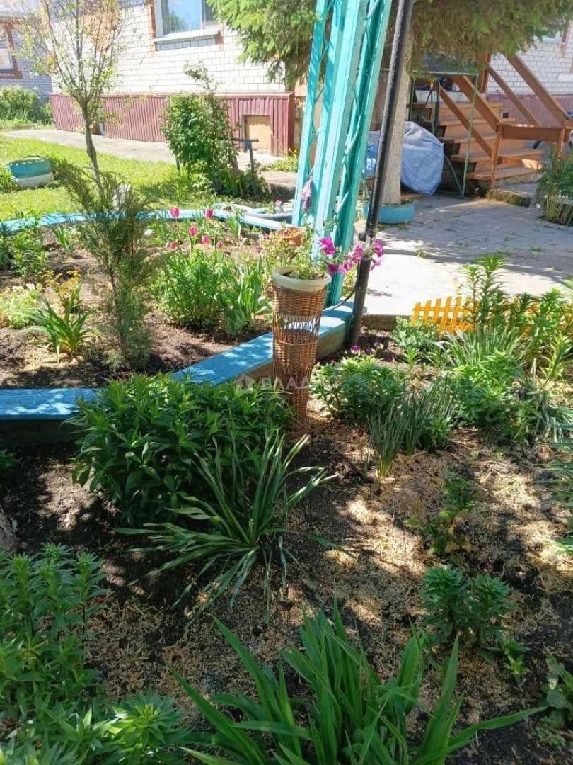 Photo 42