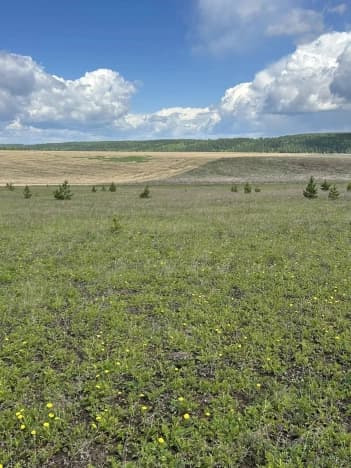 Купить земельный участок в ИЖС в Иркутской области. Вариант № 2076772, 0, площадь - квм, цена 250000 рублей